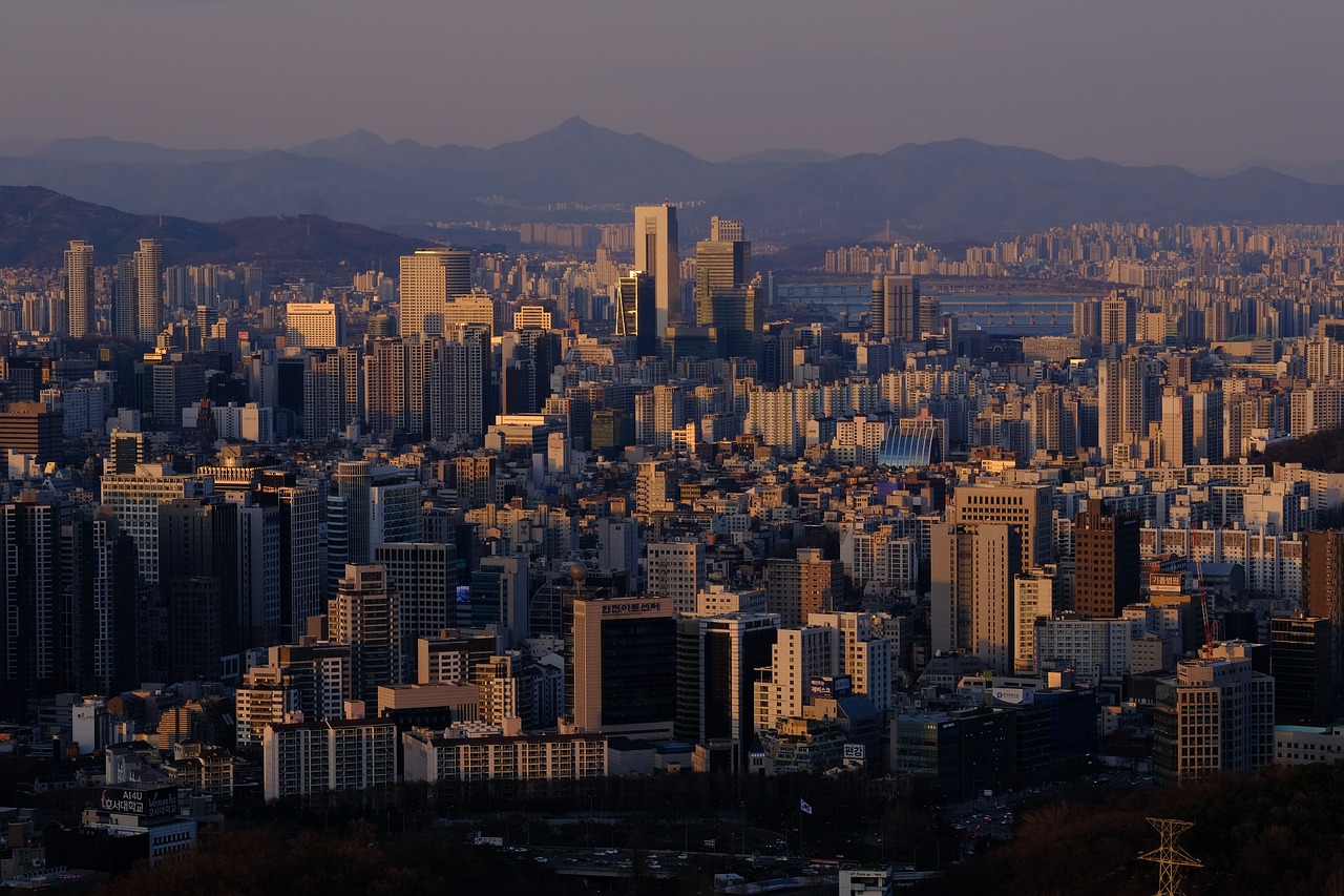 토요 코인 강남