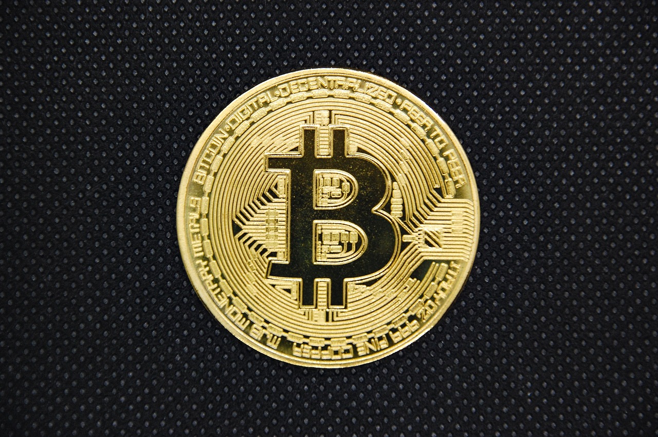 장사 의 신 코인
